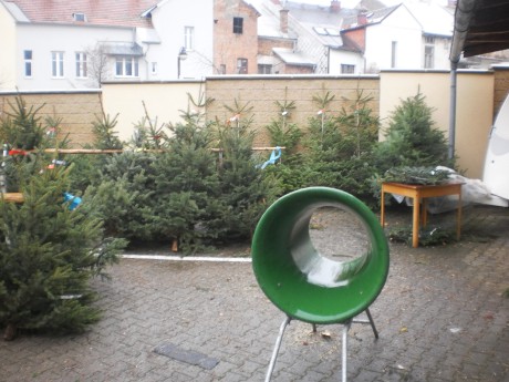 48. Prodej vánočních stromků v Žamberku - rok 2014
