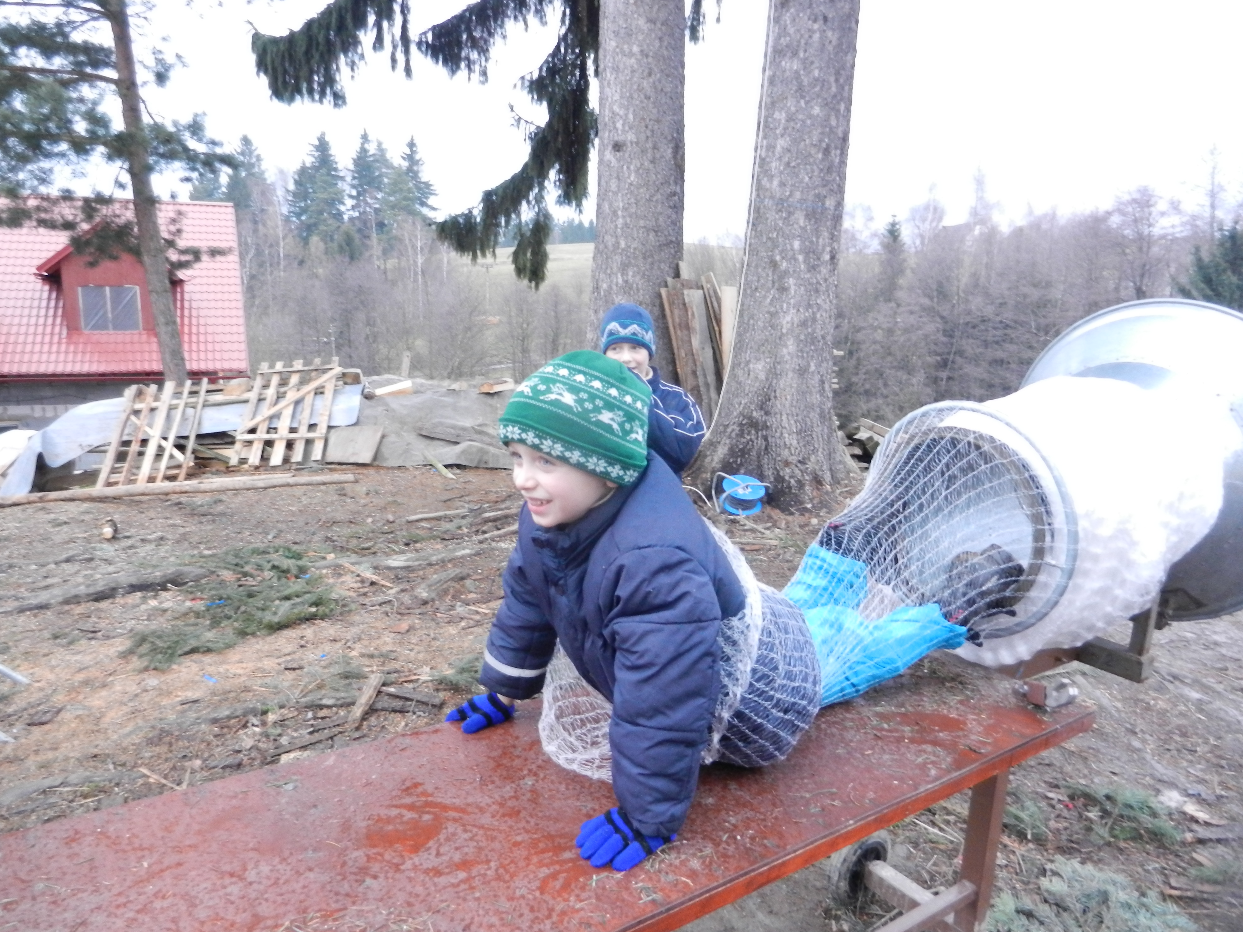 45. Balení "zvláštního" vánočního stromku