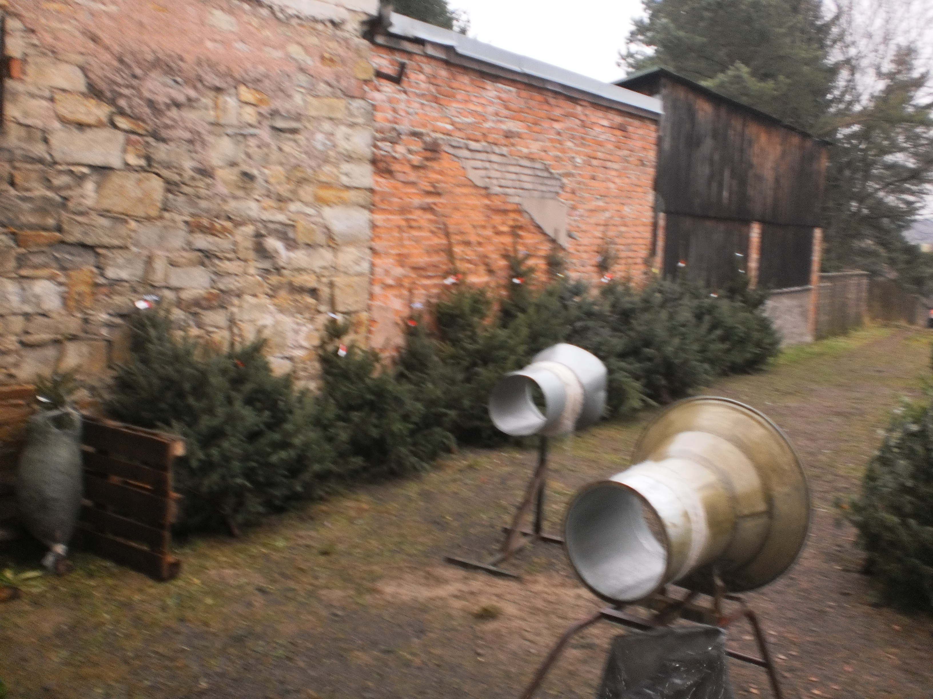 52. Prodej vánočních stromků v Letohradě - rok 2014