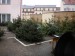 46. Prodej vánočních stromků v Žamberku - rok 2014